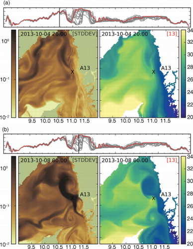 Fig. 14 Surface salinity in eastern Skagerrak on 2013-10-04 20:00 (a) and 2013-10-08 00:00 (b), where X indicates the location for position ‘Å13’. Sea surface salinity STDDEV (PSU) (left) and surface salinity (PSU) for ensemble member #13 (right). In each subfigure, the top panel indicates time in a way consistent with Fig. 13.