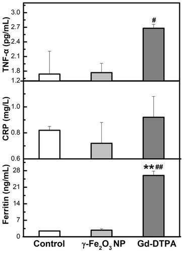 Figure 9 Measurement of TNF-α, CRP and Ferritin from serum of mice. Data are presented from a representative experiment (mean ± SD, n = 3). Statistical analysis was performed with one-way ANOVA followed by least-significant-difference (LSD) post hoc test for CRP. Statistical analysis was performed with one-way ANOVA followed by Dunnett-T3 post hoc test for TNF-α and Ferritin. **P < 0.01, compared with control, #P < 0.05, ##P < 0.01 compared with γ-Fe2O3 NP group.