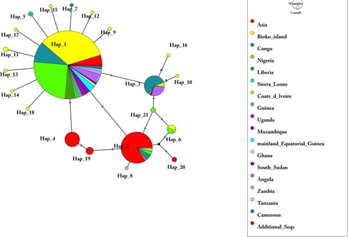 Figure 3 Network of Pfdhfr haplotypes for 603 Plasmodium falciparum isolates from 16 African countries and Asia. The network was constructed by using the POPART program with the median-joining algorithm. The size of each pie indicates the proportion of the haplotype frequencies. Different colours in each pie indicate different countries or regions. Additional_Seqs stands for 3D7 isolates.