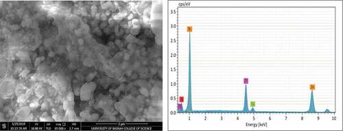 Figure 6. SEM micrograph and EDS analysis for coating sample 2 after application