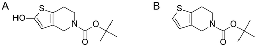 Fig. 1. Chemical structures of LP1 and LS1.Note: (A) 2-Hydroxy-6,7-dihydro-4H-thieno[3,2-c]-pyridine-5-carboxylic acid tert-butyl ester (LP1). (B) 6,7-Dihydro-4H-thieno[3,2-c]-pyridine-5-carboxylic acid tert-butyl ester (LS1).