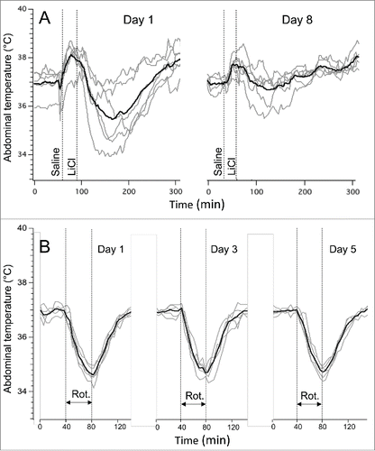 Figure 2. Habituation of LiCl−induced (63 mg/kg) hypothermic responses (A) and lack of habituation of rotation-induced hypothermic responses. The latter were induced by a rotation of a home cage with an animal on a turntable at 0.75 rpm. In (A), interval between experiments was 7 days; in (B) - 2 days. Gray traces - individual recordings; black traces - averaged data from 6 rats (A) or 5 rats (B). Rot. - rotations session (40 min).