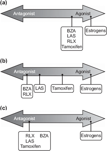Figure 1 Relative agonist and antagonist activities of selective estrogen receptor modulators (SERMs) in different target tissues: (a) bone, (b) endometrium, (c) breast. BZA, bazedoxifene; LAS, lasofoxifene; RLX, raloxifene