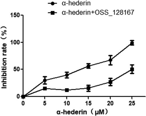 Figure 6. Effect of α-hederin combined with SIRT6 inhibitor OSS_128167 on the viability of A549 cells. Cells were treated with α-hederin for 48 h. CCK8 assay was performed to analyse cell viability. Results are normalized to PBS controls.
