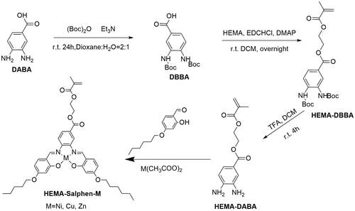 Scheme 1. Synthetic procedure of HEMA-Salphen-M.