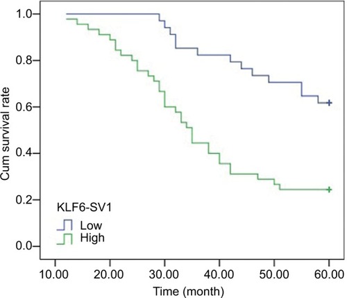Figure 3 A Kaplan–Meier analysis of the cumulative survival rate after operation in patients with high and low expression of KLF6-SV1, respectively.Abbreviation: KLF6, Kruppel-like factor 6.
