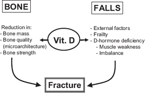 Figure 1. Pathogenetic factors contributing to non-vertebral fractures in osteoporosis and dual counteracting effects of vitamin D.