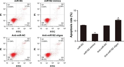 Figure 5 miR182 inhibits the apoptosis of OSCC cells.