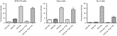 Figure 4.  Flow cytometry. Average fluorescence intensity of B16-F10, EL4 and HeLa cells incubated with rhodamine-labeled TATp liposomes following exposure to trypsin/trypsin inhibitor (0.1mg/ml and 1mg/ml respectively) for 1hr. (*p≤0.05 vs. plain liposomes, n=5)