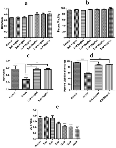 Figure 2. Metabolic activity and viability of hADMSCs in response to MIA stress and DM preconditioning. A. Metabolic activity of hADMSCs preconditioned with different doses of DM extract. B. hADMSCs viability against different DM concentrations. C. Metabolic activity of hADMSC’s preconditioned with DM extract concentrations followed by MIA induced oxidative stress. D. Percent viability of hADMSC’s after DM preconditioning and MIA induced oxidative stress. Values are statistically significant at p*<0.05, p*< 0.01 compared with the stress group. E. Graph representing metabolic activity response of hADMSC’s against monosodium iodoactate induced oxidative stress. The experiment was carried out in triplicates (n = 3)