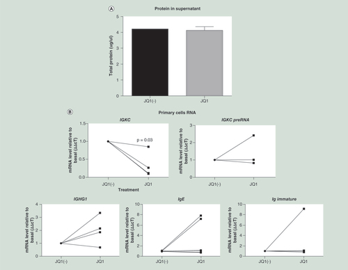 Figure 2. JQ1 inhibits IGKC expression in Primary human B cells.Cells were isolated and grown in culture for 7 days, after which they were treated with 500 nM JQ1 or JQ1(-) for a further 3 days. Immunoglobulin production was measured as (A) protein in the supernatant, and (B) gene expression including light chain mRNA (IGKC) and κ light chain PreRNA. Immunoglobulin heavy chain mRNA was also measured against the γ1, ∊ and immature ∊ heavy chains (n = 4). The viability of the primary cells was measured by (C) Annexin assay (D) as was the cell cycle. Data were analyzed using Wilcoxon matched-pairs signed rank test, as the data were nonparametric paired samples.