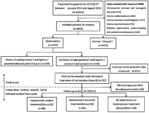 Figure 1. Flowchart of the study.