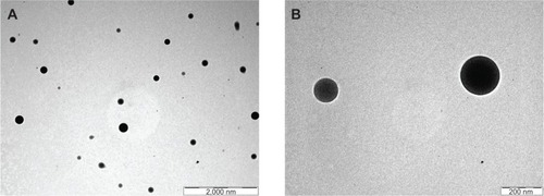Figure 5 Transmission electron scanning microscopic images of experimental formulation NP4.Notes: (A) At lower magnification (shown by bar) and (B) at higher magnification (shown by bar).