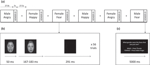 Figure 2. Illustration of the facial affect recognition task. (a) Six task blocks depicting male or female faces expressing angry, happy or fear emotions were interleaved with rest blocks consisting of a central crosshair for visual fixation. Each task block lasted 27.8 s followed by a 5-s gender identification block. Each rest block lasted 27.5 sec. (b) Illustration of a single trial within each task block. An emotional face was presented for 50 ms followed by a neutral face mask for 167 or 183 ms followed by a completely blank screen for 291 ms. Fifty-six trials were presented in a single task block. (c) Illustration of the gender identification block, which lasted 5 s. Subjects were asked ‘What gender were the faces that you just saw? MALE – Press Thumb, FEMALE – Press Index Finger’.