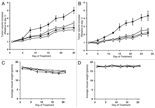 Figure 5 Effects of SK inhibitors and sorafenib on the growth of HCC cells in xenograft models. Female SCID mice (n = 7–8 per group) were injected subcutaneously with HepG2 (A) or SK-HEP-1 cells (B) suspended in PBS. After palpable tumors were formed, the animals were treated 5 days per week with vehicle (solid squares), 50 mg/kg of ABC294640 (solid triangles), three times per week with 20 mg/kg sorafenib (open squares) or combinations (open circles). Values represent the mean ± standard error tumor volume normalized to treatment day 1 for each mouse (A and B). The corresponding average mouse weights (mean ± standard error) for the treatment groups are shown in (C and D).