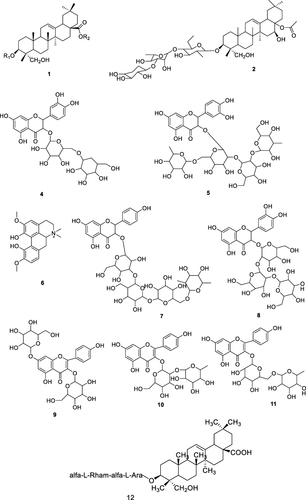 Figure 10 Saponins structure of N. sativa are R1 = β-D-Xylp-(1-3)-α-L-Rhap-(l-2)- α-L-Arap-(b. R2 = α-L-Rhap-(1-4)- β-D-Glcp-(1-6)- β-D-Glcp-(1)(1),Citation91,Citation103 3-O-[β-D-xylopyranosyl-(1-3)-α-L-rhamnopyranosyl-(14)-β-D-glucopyranosyl]-11-methoxy-16-hydroxy-17-acetoxy (2),Citation104 a. R1= β-D-xylp-(1-2)- β-D-glcp-(1-b. R2= α-L-rhap-(1-4)-β-D-glcp-(1-6)-β-D-glcp-(1-flaaccidoside III (3), quercetin-3-gentiobioside (4), nigelflavonoside B (5), magnoflorine (6), nigelloside (7), quercetin sphorotrioside (8), kaempferol-3,7-diglucoside (9), kaempferol 3-O-rutinoside (10), rutin (11)Citation100 alpha-hederin (α-HN) (12).Citation109