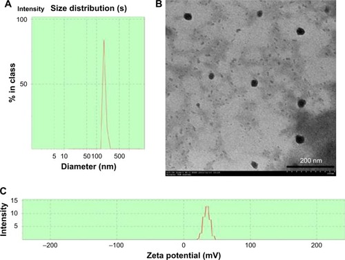 Figure 2 The characterization of nCS.Notes: Malvern Zetasizer 3000HS size measurement of nCS (A). TEM images of nCS (B). Zeta potential of nCS (C).Abbreviations: nCS, chitosan nanoparticles; TEM, transmission electron microscopy.