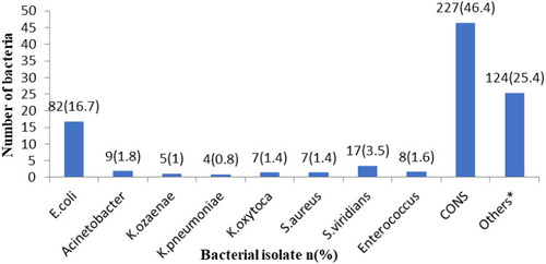 Figure 1 Proportion of bacteria isolated from pregnant women attending HUCSH and AGH from October 13 to December 28, 2020, Hawassa, Ethiopia (n=490). *Gram-positive rod, Gram-negative rod with no growth on MacConkey, Gram-negative diplococci.