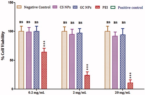 Figure 4. In vitro cell cytotoxicity: graph showing toxicity of different concentration of CS, GC NPs and PEI on Calu-3 cell line. The cells incubated with HBSS–HEPES buffer was considered as negative control, whereas the cells incubated with SDS was used as positive control. The results obtained were compared with CS NPs. Asterisk over bars indicated degree of significance. Where *p < 0.05; **p < 0.01; ***p < 0.001; ns = not significant.