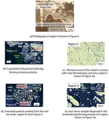 Figure 5. Microstructure of the selected regions from quenched iron ore sinter bed.