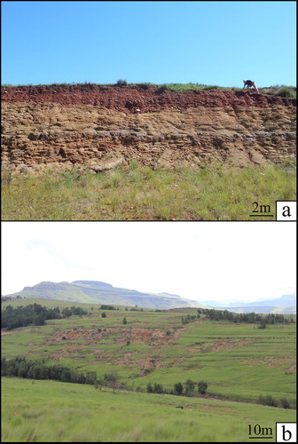 Figure 5. Field evidence. (a) River terrace deposits; level 4 overlying Tarkastad Subgroup bedrock. (b) Man-made contour terraces in abandoned ploughed agricultural fields where gullies have developed.