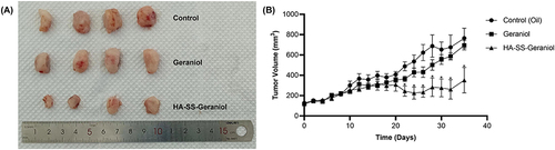 Figure 9 HA-SS-geraniol significantly suppressed tumor progression. (A) The representative images of isolated tumors at the end of treatments. (B) Average growth curve of xenograft tumor volume. (Mean ± SEM; n = 4; * p < 0.05).