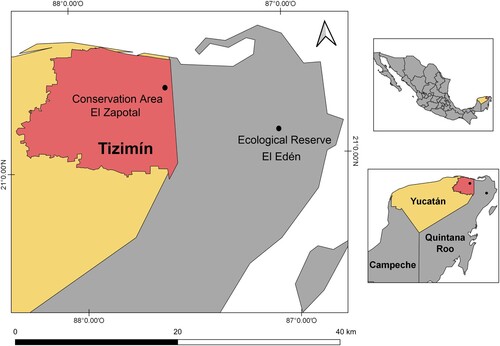 Figure 2. Geographical location of Tizimín, Yucatan, Mexico.