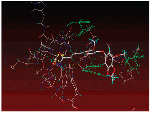 Figure 5.  Docking result of 4n with the active site of HDAC8 (PDB: 1t64).