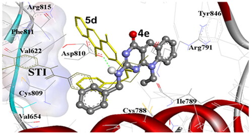 Figure 12. The comparative AutoDock binding affinities of compound 4e (coloured by element, balls, and sticks) and 5d (sticks) involving flexible docking into the binding pocket of the c-Kit PTK (1t46), shown as solid backbone ribbon with the STI ligand (lines) The hydrogen bonds are shown as dashed lines.