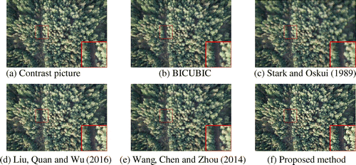 Figure 9. Image reconstruction results of the Contrast picture.