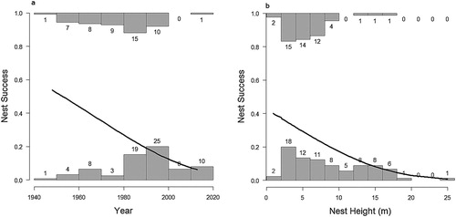 Figure 2. Predicted probability of overall nest success (line) with observed data from 1943 to 2013 nest records grouped by decade (a) and height category (b) with failures on the lower histogram and successes above.