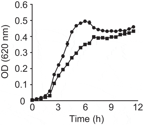 Figure 1. Impact of a fecal extract on V. cholerae growth in vitro.