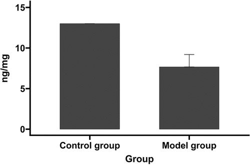Figure 1. The neurological assessment in model and control groups.