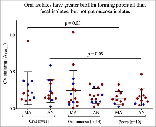 Figure 3. Oral isolates exhibit greater biofilm forming potential than fecal isolates. Biofilms formation measured by crystal violet staining (CV) absorbance at 550nm (A550 nm) for 46 isolates stratified by anatomical sites of isolation; Oral (n = 11), Gut mucosa (n = 14), feces (n = 10) on the x-axis. Red dots represent isolates from IBD patients, blue dots represent isolates from healthy subjects. MA = microaerophilic growth, AN = Anaerobic growth.