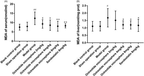 Figure 13. Effect of Octreotide microspheres on MDA in the (A) serum and (B) liver of portal hypertensive rats. Compared to sham group, #p < .05, ##p < .01; compared with model group, *p < .05, **p < .01.
