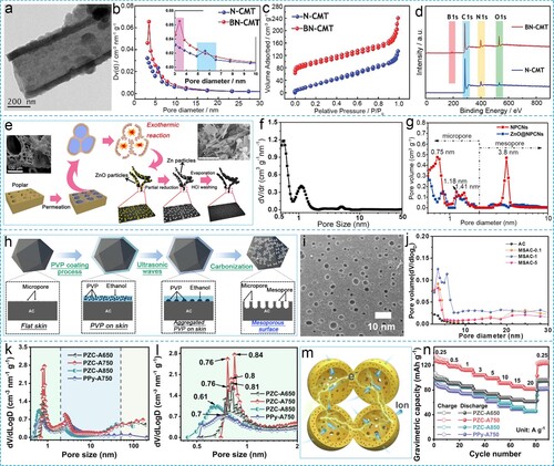 Figure 8. (a) TEM image of BN-CMT. (b) PSD curves, (c) N2 adsorption/desorption isotherms and (d) X-ray photoelectron spectroscopy (XPS) survey spectra of N doped and B, N doped carbon microtube. Reproduced with permission. Copyright 2019, Royal Society of Chemistry [Citation159]. (e) The formation mechanism of porous CNSs based on Zn(NO3)2 and urea. (f) PSD curve of poplar wood powder derived CNSs. Reproduced with permission. Copyright 2021, Elsevier [Citation164]. (g) PSD curve of polyvinylpyrrolidone derived CNSs. Reproduced with permission. Copyright 2022, WILEY-VCH [Citation165]. (h) Schematics of the step-by-step fabrication process for the MSAC. (i) High-magnification SEM image of MSAC-1. (j) Pore size distribution (PSD) curve of MSACs and AC samples. Reproduced with permission. Copyright 2020, Elsevier [Citation37]. (k, l) PSD curves and (n) rate performances of PZC-Ax and reference samples. (m) Schematic illustration for the transportation of ions and electrons. Reproduced with permission. Copyright 2021, Elsevier [Citation126].