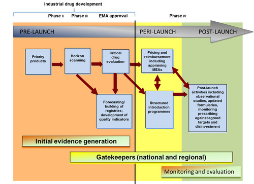 Figure 1 Activities to manage the entry of new medicines Source: [Citation7] (adapted from [Citation10, Citation13, Citation14]