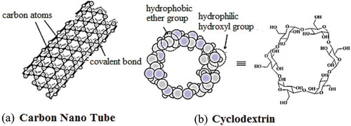 Figure 3. Representation of (a) carbon nano tube and (b) cyclodextrin.