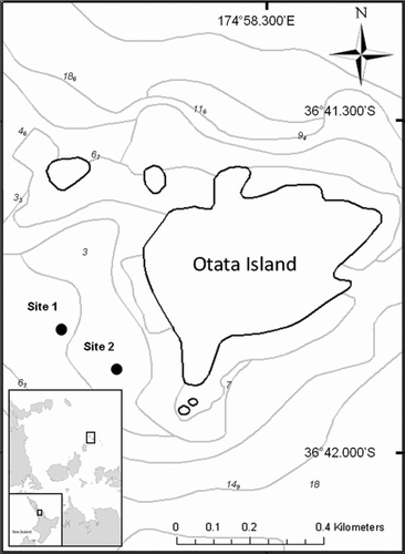 Figure 1  Bathymetry (m) and survey locations, Otata Island, Hauraki Gulf, North Island.