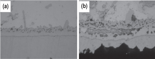 Figure 6. Cross sectional SEM micrographs of SAC–2.0Ni/Cu interfaces aged at 150°C for (a) 200 h and (b) 1000 h. Adapted from Liu et al [Citation53], copyright 2009, with permission from Elsevier.