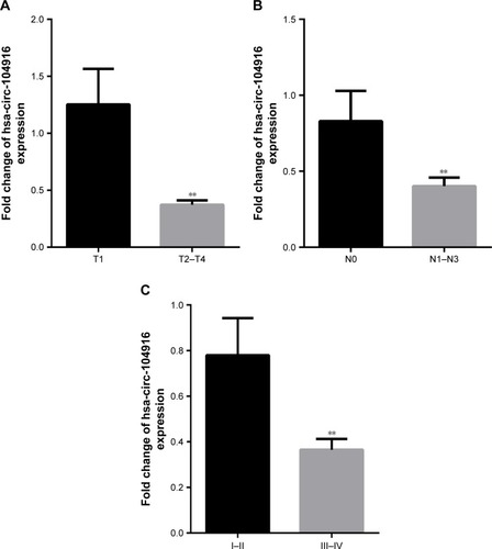 Figure 2 Clinicopathological factors with the expression level of circ-104916.