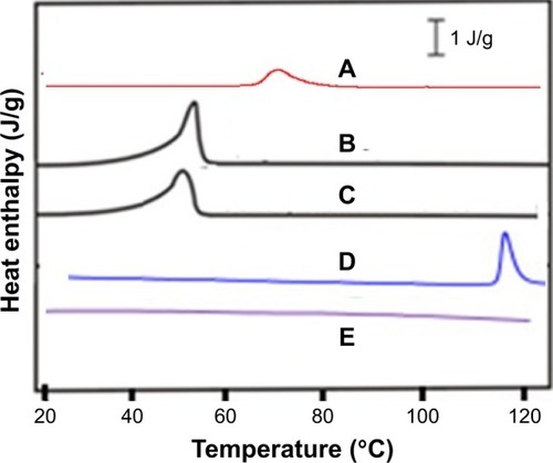 Figure 5 Differential scanning calorimetry thermograms of polyvinyl pyrrolidone K-30 (A), unprocessed Dexi (B), Dexi nanocrystals (C), Eudragit RS100 (D), and hydroxypropyl methyl cellulose (E).Abbreviation: Dexi, dexibuprofen.