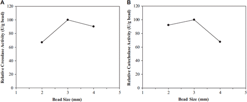 Figure 4. The effect of bead size on cresolase (A) and catecholase (B) activities.