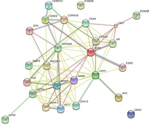 Figure 1 Protein–protein interaction (PPI) network of identified differentially methylated genes (DMGs).