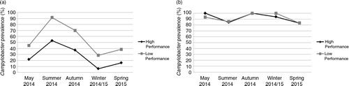Fig. 1 Comparisons of Campylobacter prevalence between high- and low-performance farms at a first and b final thin.