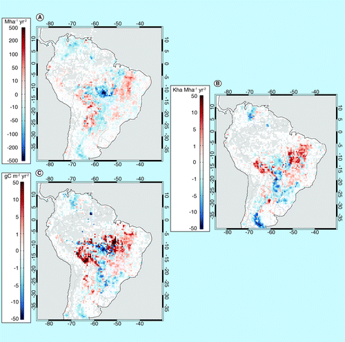 Figure 4.  Long-term trends of fire characteristics in South America. (A) Active fire density (Mha-1 yr-2) derived from Terra Moderate resolution Imaging Spectroradiometer (2001–2012); (B) burned area (2001–2011; Kha Mha-1 yr-2); and (C) fire carbon emission from Global Fire Emissions Database version 3 (2001–2011; gC m-2 yr-2).