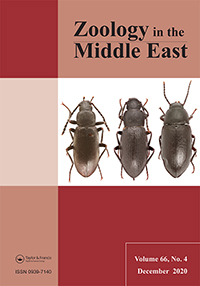 Cover image for Zoology in the Middle East, Volume 66, Issue 4, 2020