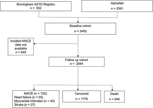 Figure 1 Flow diagram for study participants.