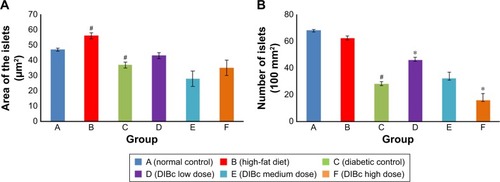 Figure 7 The area of islets (A) and their numbers (B).Notes: Each column shows mean ± SEM for eight rats. Significant differences vs the normal control group have been specified by square (#) meaning P-value <0.05. Significant differences vs the diabetic group have been specified by asterisk (*) meaning P-value <0.