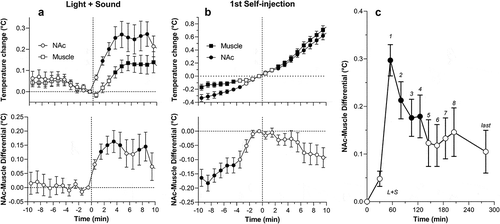 Figure 28. A and B. Mean (±SEM) changes in NAc and muscle temperature and NAc-muscle temperature differentials following exposure to light+sound stimulus that was previously paired with heroin self-injections (conditioned sensory cue A) and preceding the first heroin self-injection of a session (B) in trained rats. Filled symbols show values significantly different from baseline (the last minute before the event). C. Changes in NAc-muscle temperature differentials during heroin self-administration session in trained rats. L + S = presentation of a conditioned sensory cue, symbols with numbers = consecutive heroin self-injections. Filled symbols show values significantly different from baseline (0 min). Data were replotted from [Citation229].